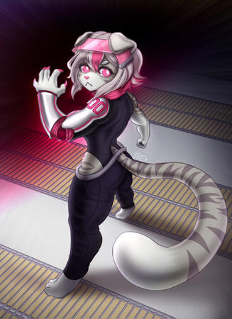 Are you looking for a fight?